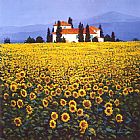 Field Wall Art - Sunflowers Field